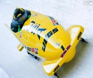 Puzle Descenso em bobsleigh ou bobsled