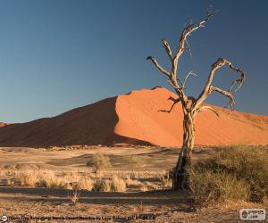Puzle Deserto do Namibe, Namíbia