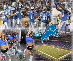 Puzle Detroit Lions