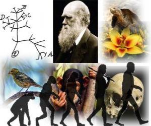 Puzle Dia de Darwin, Charles Darwin nasceu em 12 fevereiro de 1809. Árvore de Darwin, o primeiro esquema de sua teoria da evolução