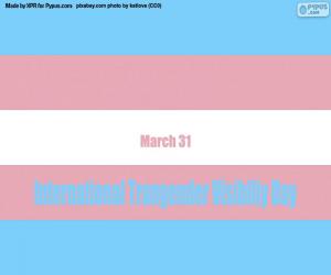 Puzle Dia Internacional da Visibilidade dos Transgêneros