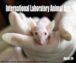 Puzle Dia Internacional do Animal do Laboratório