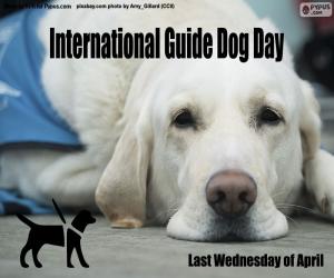 Puzle Dia Internacional do Cão Guia