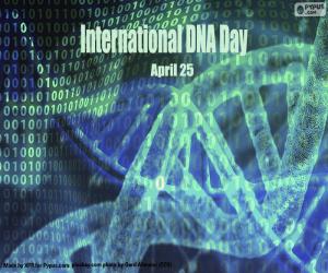 Puzle Dia Internacional do DNA