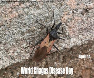 Puzle Dia Mundial da Doença de Chagas