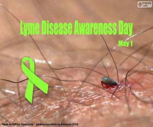 Puzle Dia Mundial da Doença de Lyme