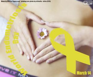 Puzle Dia Mundial da Endometriose