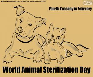 Puzle Dia Mundial da Esterilização Animal