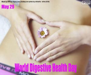 Puzle Dia Mundial da Saúde Digestiva