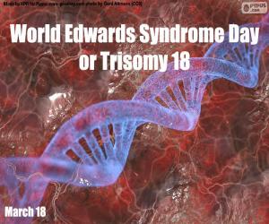 Puzle Dia Mundial da Síndrome de Edwards ou Trisomia 18