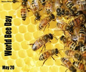 Puzle Dia Mundial das Abelhas