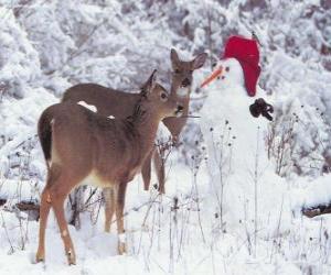 Puzle Dois veados ao lado de um boneco de neve