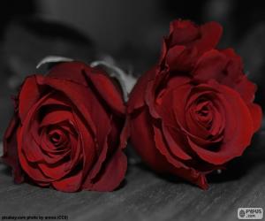 Puzle Duas rosas para sua mãe