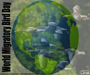 Puzle Día Mundial de las Aves Migratorias