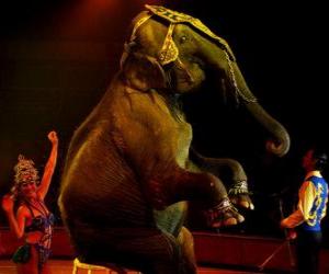 Puzle Elefante no circo