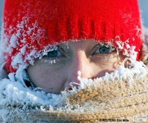 Puzle Está muito frio