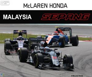Puzle F. Alonso, GP da Malásia de 2016