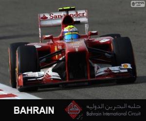 Puzle Felipe Massa - Ferrari - Circuito internacional do Bahrain 2013