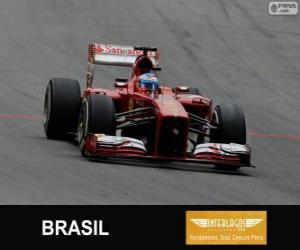 Puzle Fernando Alonso - Ferrari - Grande Prémio do Brasil 2013, 3º classificado