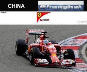 Puzle Fernando Alonso - Ferrari - Grande Prêmio da China de 2014, 3º classificado