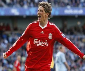 Puzle Fernando Torres comemorando um gol