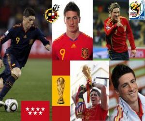 Puzle Fernando Torres (Isso nos fez sonhar), atacante da seleção espanhola