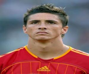 Puzle Fernando Torres