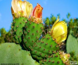 Puzle Flores dos cactos amarelo