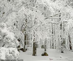 Puzle Floresta completamente nevada