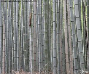 Puzle Floresta de bambu japonês