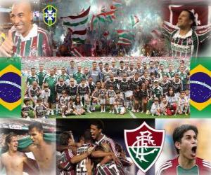 Puzle Fluminense Football Club campeão do Campeonato Brasileiro de 2010