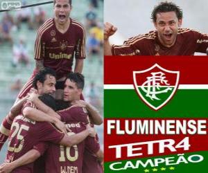 Puzle Fluminense Football Club campeão do Campeonato Brasileiro de 2012