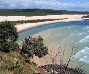 Puzle Fraser Island, a ilha de areia é de 122 quilômetros de extensão e é a maior do mundo no seu género. Austrália.