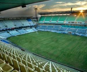 Puzle Free State Stadium (45.058), Mangaung - Bloemfontein