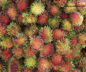 Puzle Frutas do Rambutão