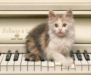 Puzle Gatinho que brinca em cima de um piano