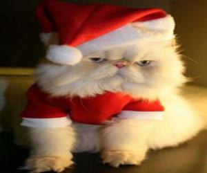 Puzle Gatinho vestido como Papai Noel