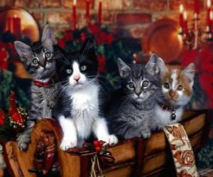 Puzle Gatinhos no dia de Natal