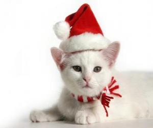 Puzle gato branco, com chapéus de Papai Noel