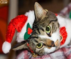 Puzle Gato com um chapéu de Papai Noel