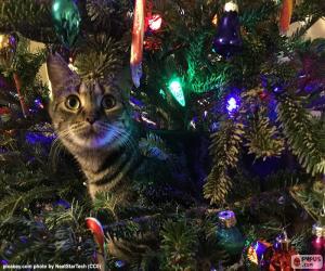 Puzle Gato e a árvore de Natal