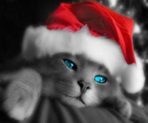 Puzle Gato elegante para celebrações do Natal com um chapéu