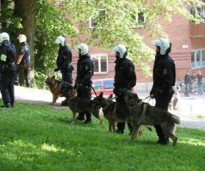 Puzle gentes da polícia de choque com cães