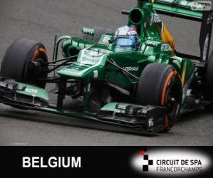 Puzle Giedo van der Garde - Caterham - Spa-Francorchamps, 2013