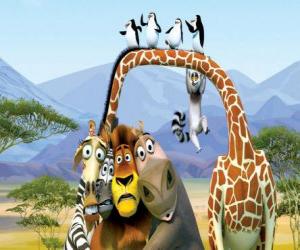 Puzle Glória a hipopótamo, Melman a girafa, o leão Alex, Marty a zebra com outros protagonistas das aventuras