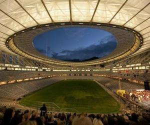Puzle Green Point Stadium (66.005), Cape Town