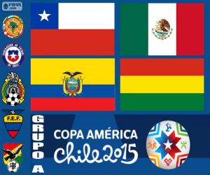 Puzle Grupo A, Copa América de 2015