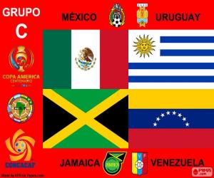 Puzle Grupo C, Copa América Centenario