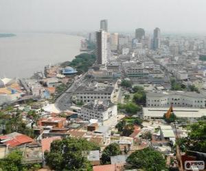 Puzle Guayaquil, Equador