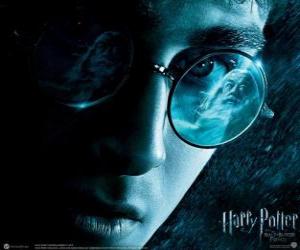 Puzle Harry Potter and the Half-Blood Prince
